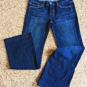 7 for all mankind dojo 30